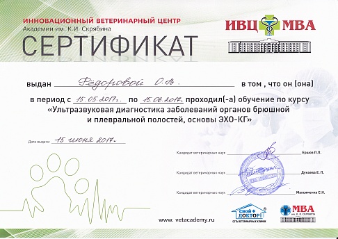 Сертификат 12