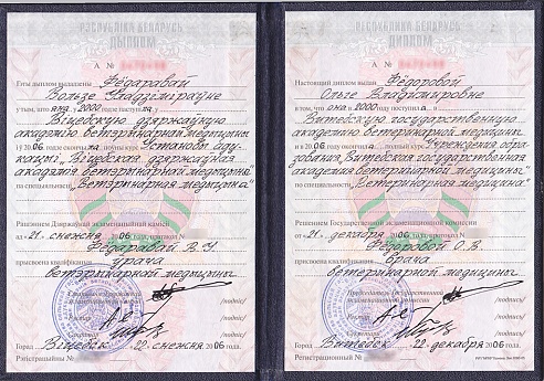 Сертификат 16