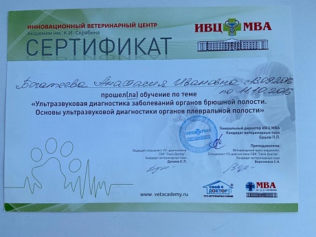 Сертификат 104