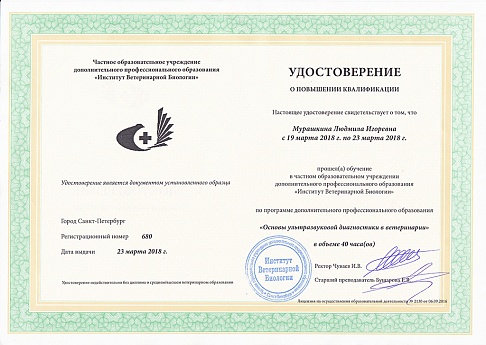 Сертификат 15