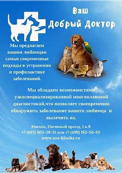 Сертификат 54