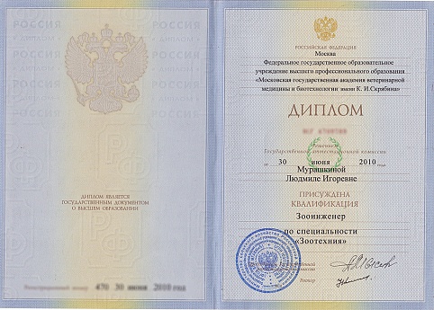 Сертификат 4