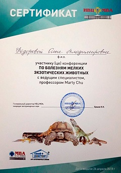 Сертификат 20