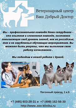 Сертификат 55