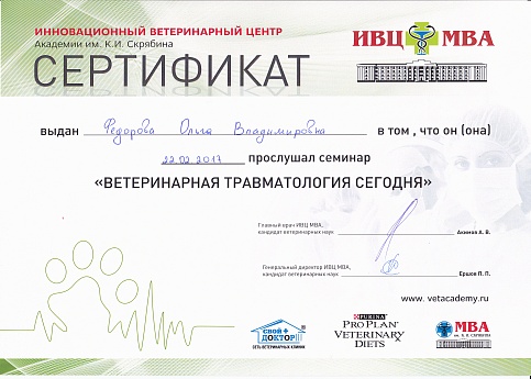 Сертификат 9