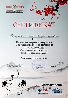 Сертификат 17