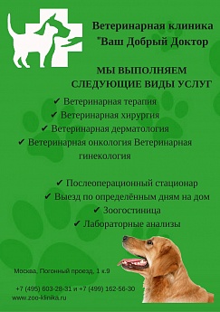Сертификат 53