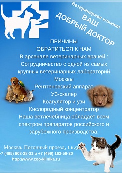Сертификат 56