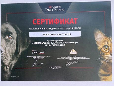 Сертификат 103
