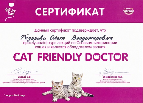 Сертификат 1
