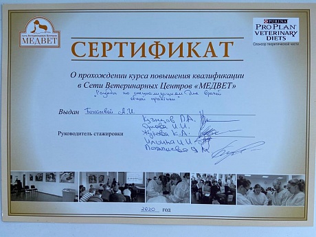 Сертификат 109