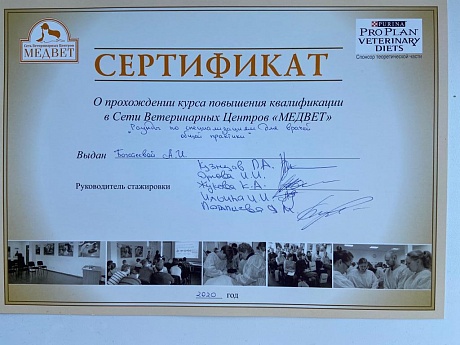 Сертификат 101