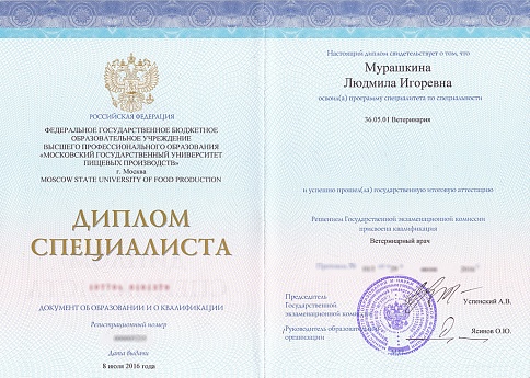 Сертификат 3